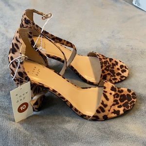 A New Day Leopard Heels